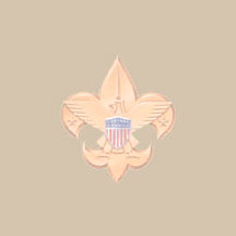 Help troop 80 out on it's trail to success
